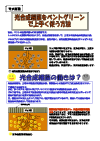 管理ポイント