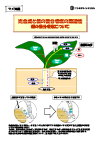 管理ポイント