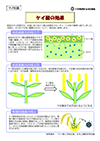 管理ポイント