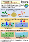 管理ポイント