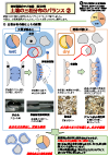 管理ポイント