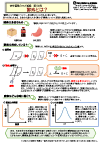 管理ポイント